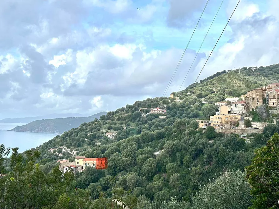 Immagine 15 di Casa indipendente in vendita  in Via Chiusa a Pisciotta