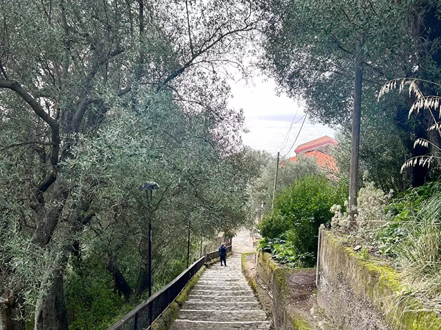 Immagine 16 di Casa indipendente in vendita  in Via Chiusa a Pisciotta