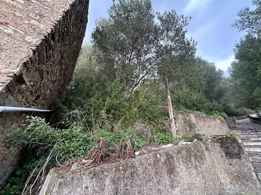 Immagine 17 di Casa indipendente in vendita  in Via Chiusa a Pisciotta