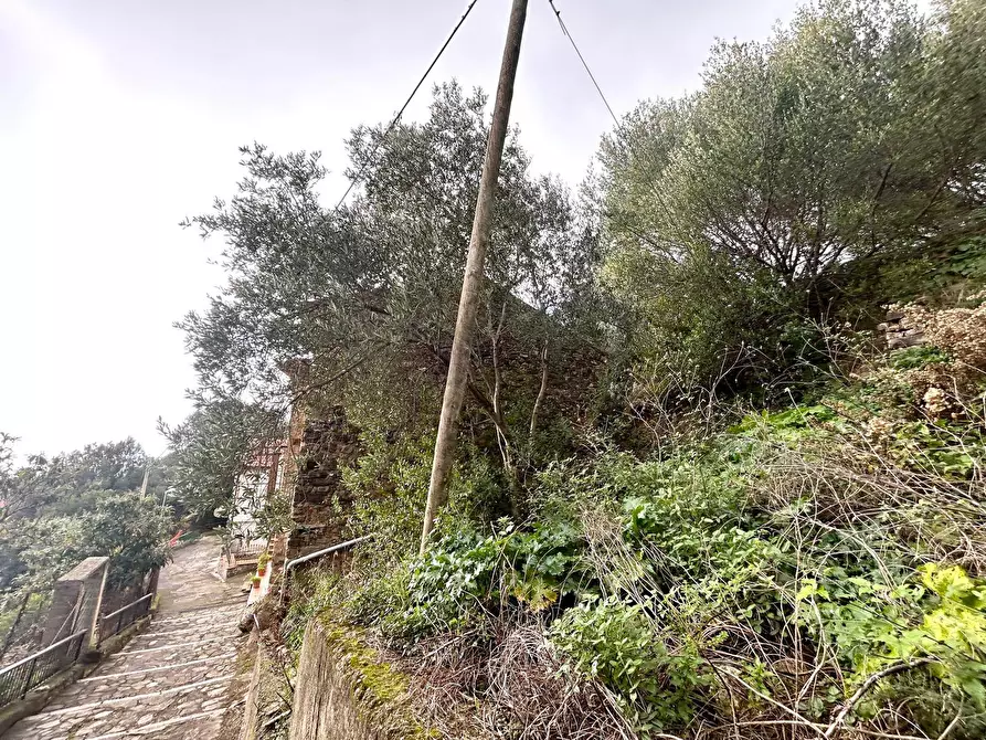 Immagine 18 di Casa indipendente in vendita  in Via Chiusa a Pisciotta