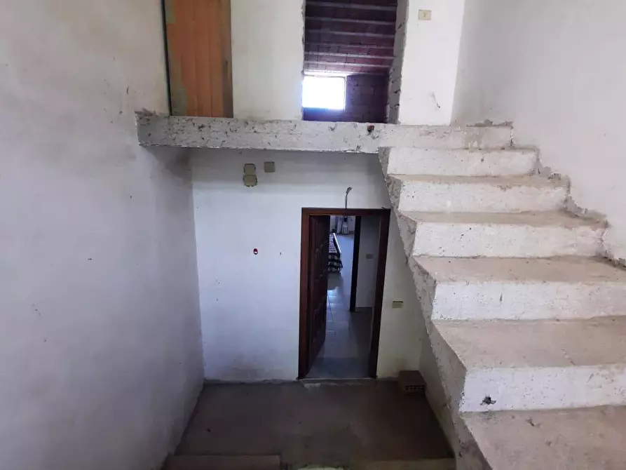 Immagine 5 di Villa in vendita  in Via Pelagalli 3 a Rotondi