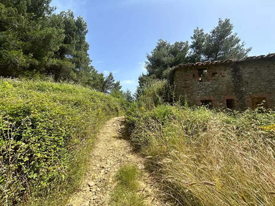 Immagine 4 di Rustico / casale in vendita  in Località Gaiche a Piegaro