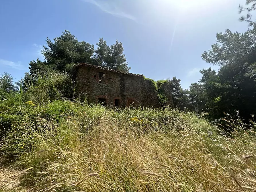 Immagine 5 di Rustico / casale in vendita  in Località Gaiche a Piegaro