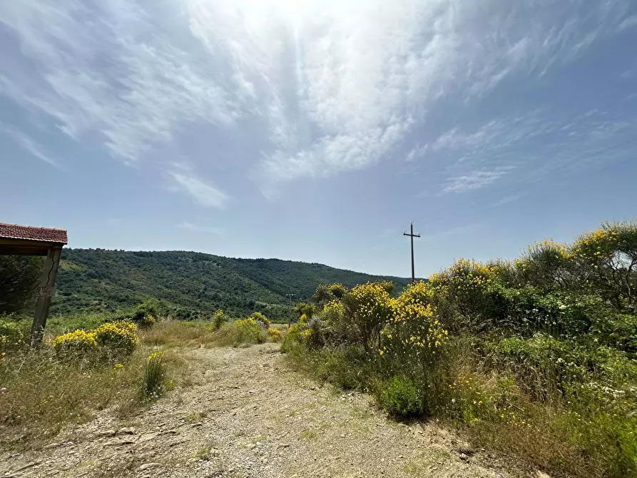 Immagine 6 di Rustico / casale in vendita  in Località Gaiche a Piegaro