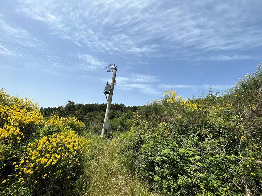 Immagine 7 di Rustico / casale in vendita  in Località Gaiche a Piegaro