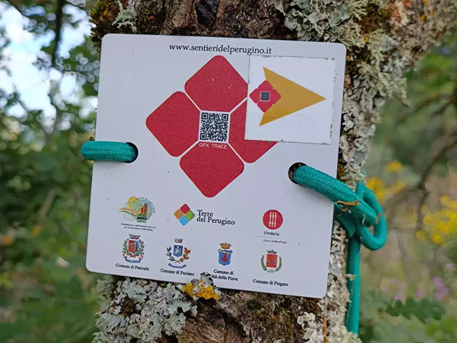 Immagine 8 di Rustico / casale in vendita  in Località Gaiche a Piegaro