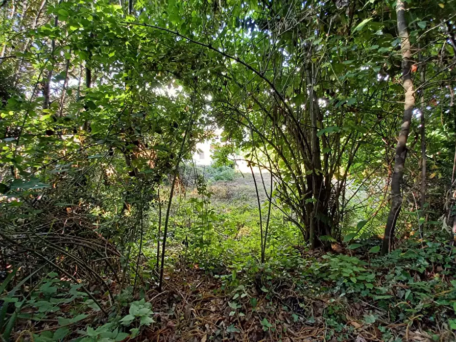Immagine 22 di Villa in vendita  in Via Pelagalli 3 a Rotondi