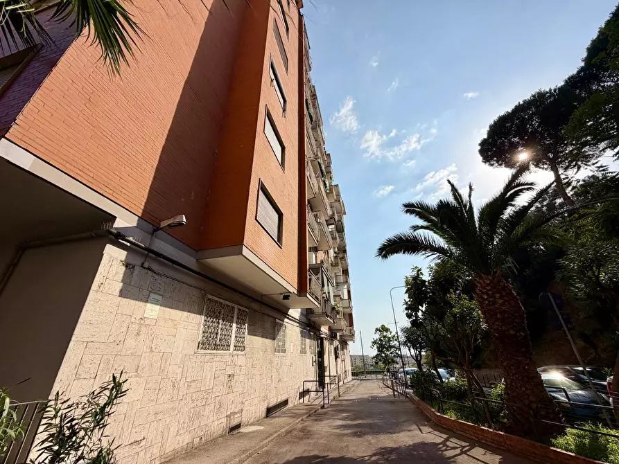 Immagine 3 di Appartamento in affitto  in Via Terracina 356 a Napoli