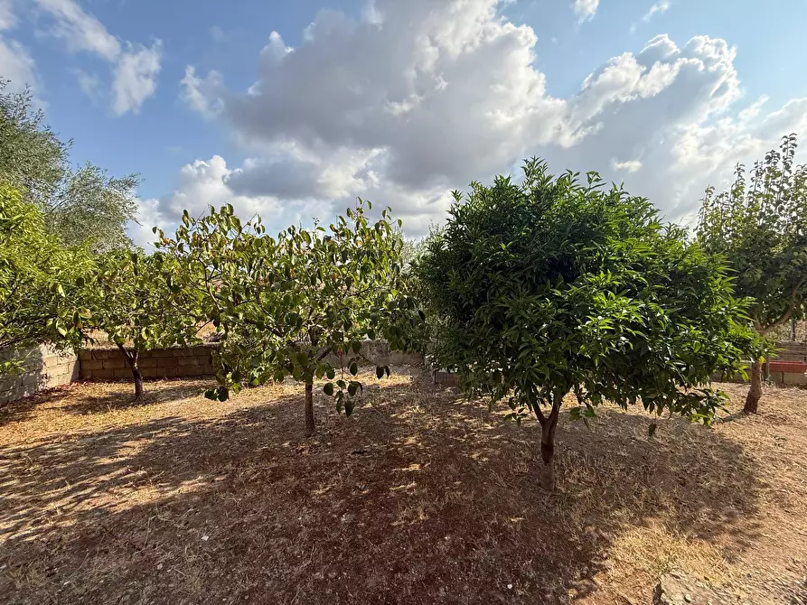 Immagine 26 di Villa in vendita  in via Cesare Battisti 7/a a Perfugas