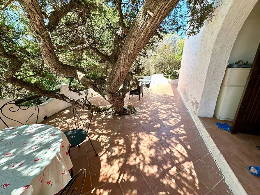 Immagine 25 di Appartamento in vendita  in San Pietro a mare a Valledoria