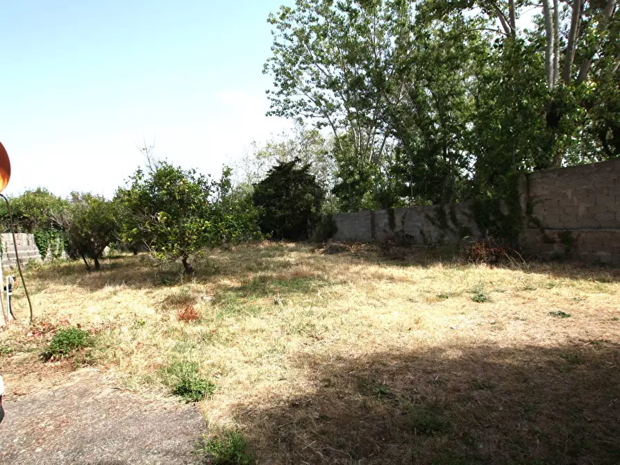 Immagine 75 di Appartamento in vendita  in corso Europa 120 a Valledoria