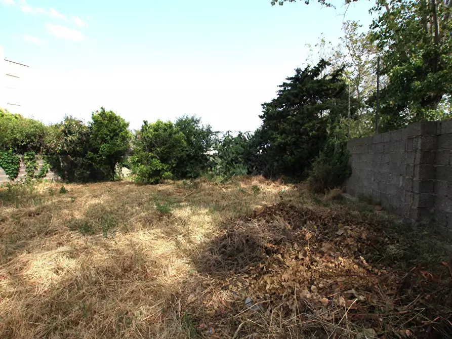 Immagine 78 di Appartamento in vendita  in corso Europa 120 a Valledoria