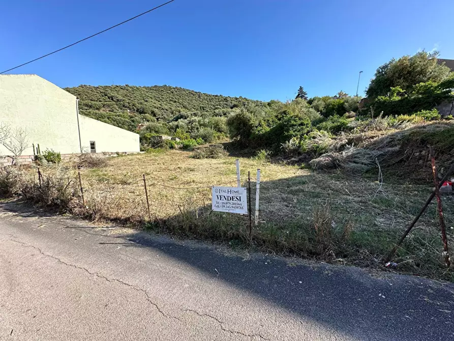 terreno edificabile in vendita a Badesi