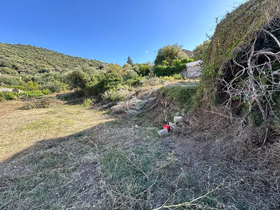 Immagine 4 di Terreno residenziale in vendita  in via San Nicola a Badesi