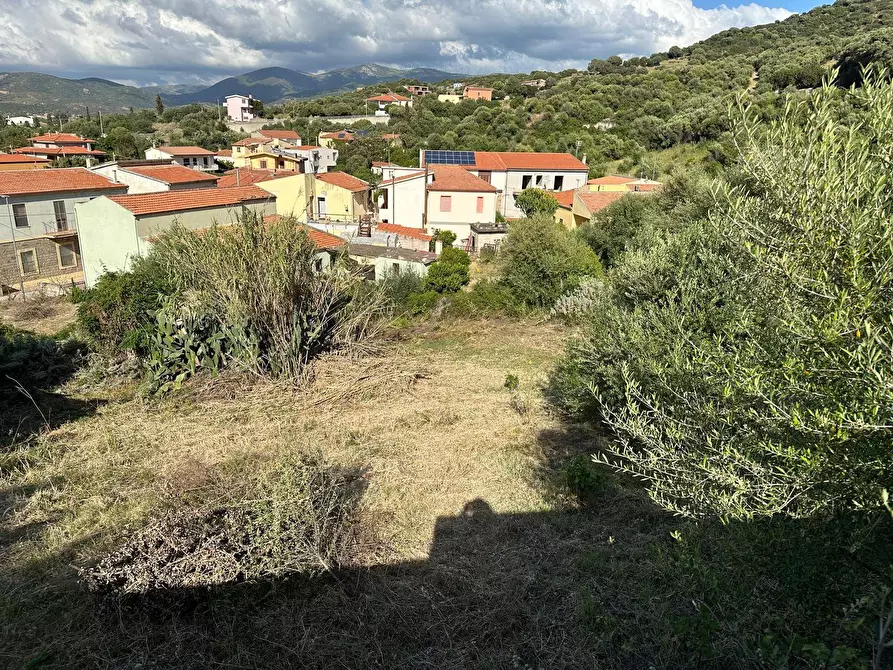 Immagine 7 di Terreno residenziale in vendita  in via San Nicola a Badesi