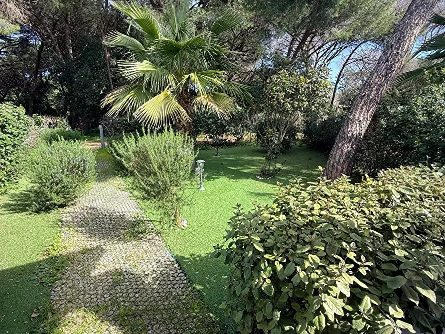 Immagine 3 di Villetta a schiera in vendita  in Pineta S.Pietro a Valledoria