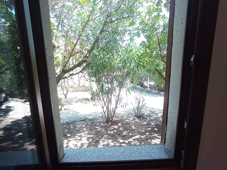 Immagine 15 di Appartamento in vendita  in Baia delle Mimose 4/16 a Badesi