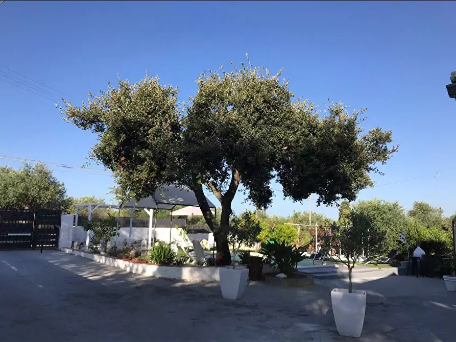 Immagine 5 di Villa in vendita  in S.V. Taniga San Giacomo Medas 24 a Sassari