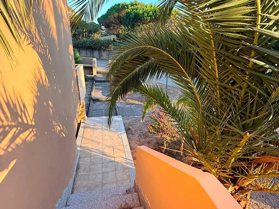 Immagine 3 di Appartamento in vendita  in Baia Verde a Valledoria