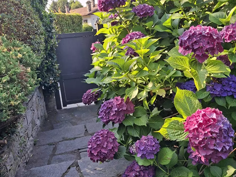 Immagine 18 di Villa in vendita  in Via Cardia 6 a Gignese