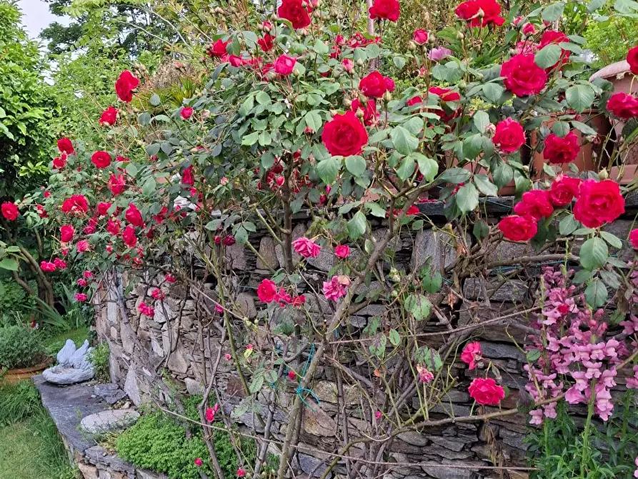 Immagine 30 di Villa in vendita  in Via Cardia 6 a Gignese