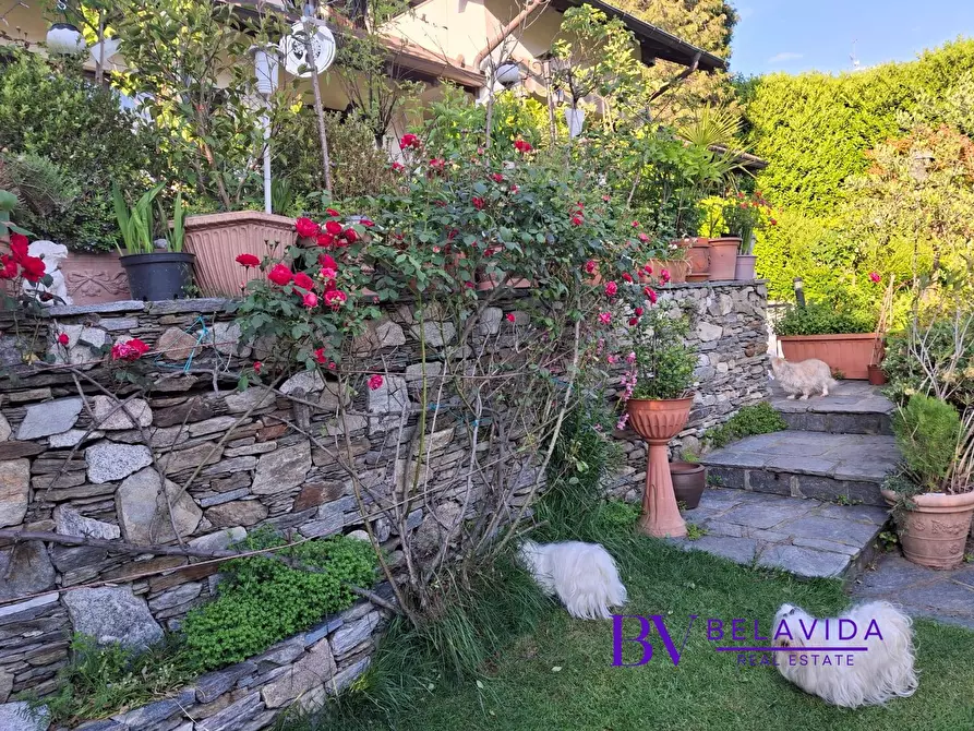 Immagine 31 di Villa in vendita  in Via Cardia 6 a Gignese