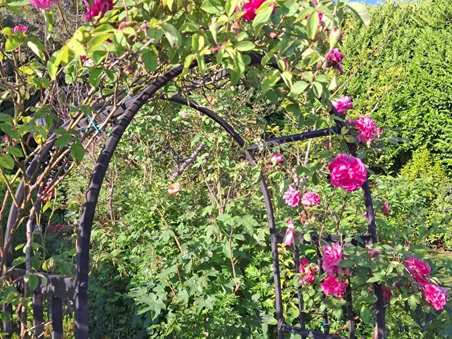 Immagine 32 di Villa in vendita  in Via Cardia 6 a Gignese