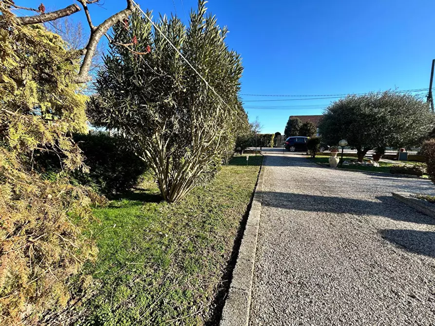 Immagine 37 di Villa in vendita  in via volturno 19 a Rovigo
