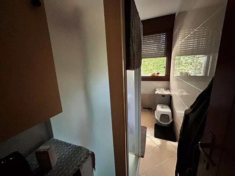 Immagine 5 di Appartamento in vendita  in via rinuccini 15 a Rovigo