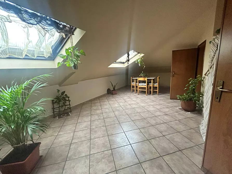 Immagine 8 di Appartamento in affitto  in viale porta po 64/b a Rovigo