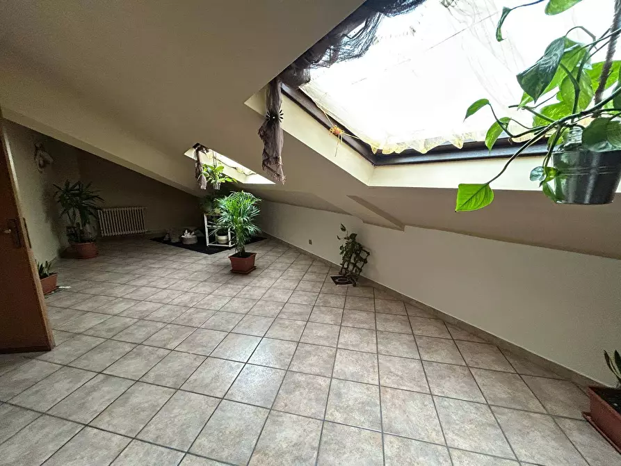 Immagine 16 di Appartamento in affitto  in viale porta po 64/b a Rovigo