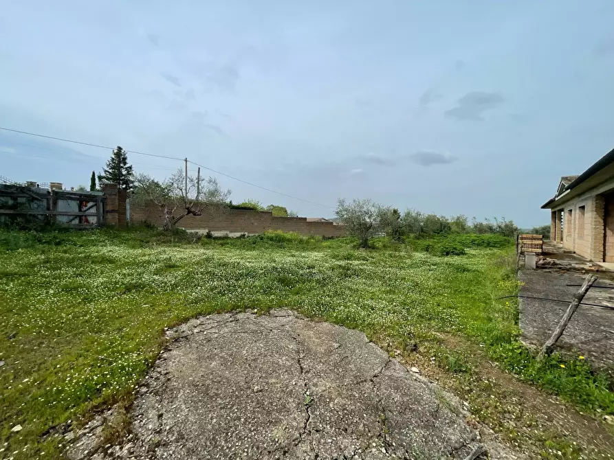 Immagine 4 di Rustico / casale in vendita  in via Monterosi a Monterosi