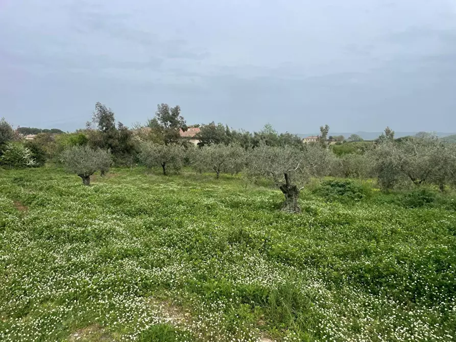 Immagine 7 di Rustico / casale in vendita  in via Monterosi a Monterosi
