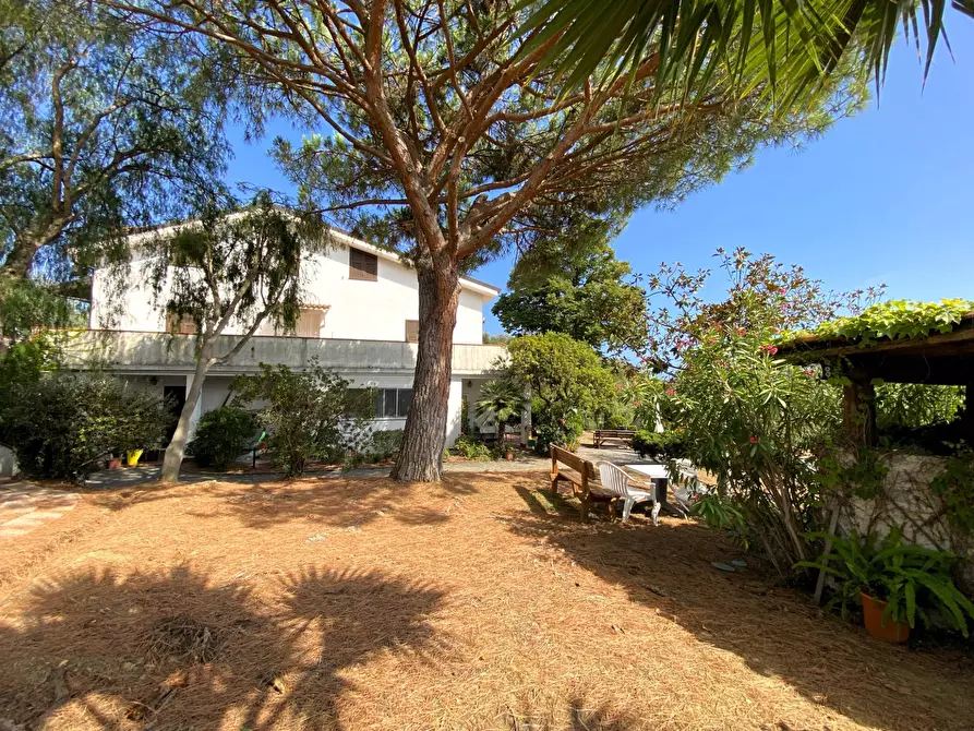 Immagine 5 di Casa semindipendente in vendita  in Strada Massabovi 13 a Imperia