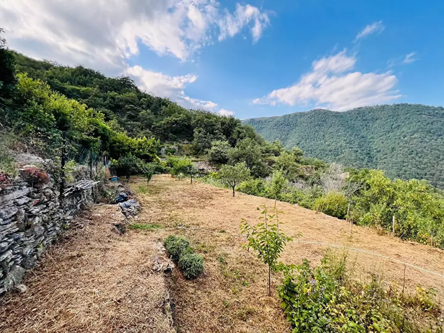 Immagine 2 di Casa indipendente in vendita  in San Giovanni 18020 a Aquila D'arroscia