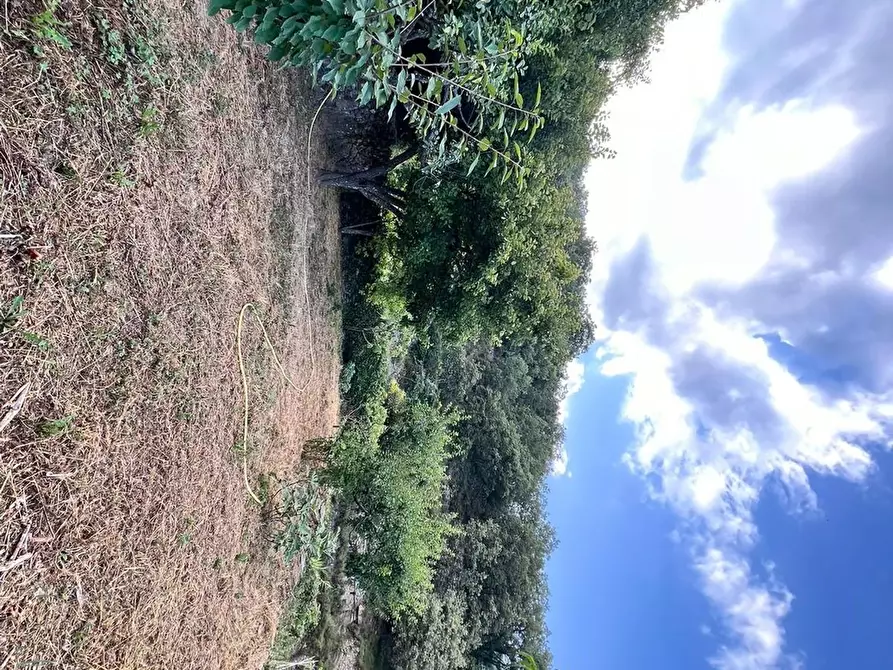 Immagine 3 di Casa indipendente in vendita  in San Giovanni 18020 a Aquila D'arroscia