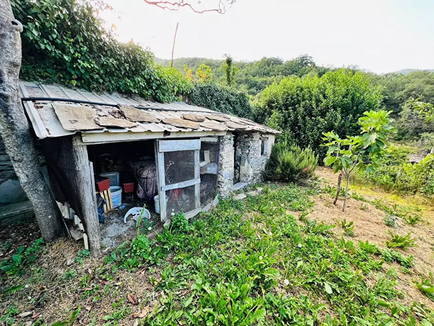 Immagine 4 di Casa indipendente in vendita  in San Giovanni 18020 a Aquila D'arroscia