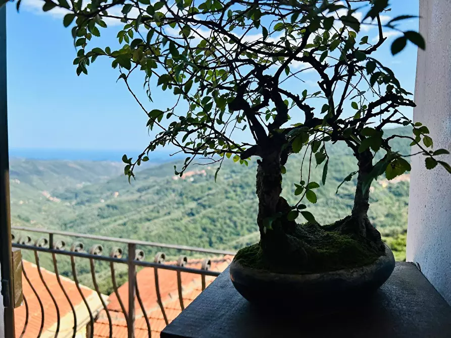 Immagine 5 di Casa indipendente in vendita  in San Giovanni 18020 a Aquila D'arroscia