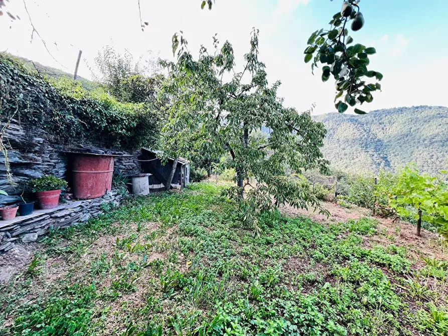 Immagine 6 di Casa indipendente in vendita  in San Giovanni 18020 a Aquila D'arroscia