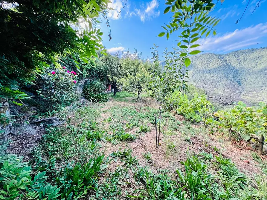 Immagine 8 di Casa indipendente in vendita  in San Giovanni 18020 a Aquila D'arroscia