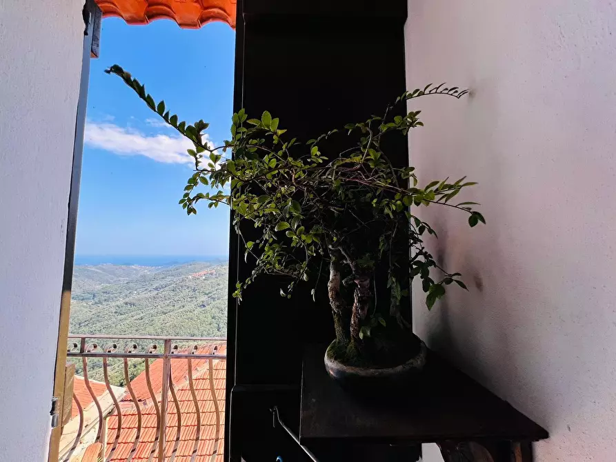 Immagine 12 di Casa indipendente in vendita  in San Giovanni 18020 a Aquila D'arroscia