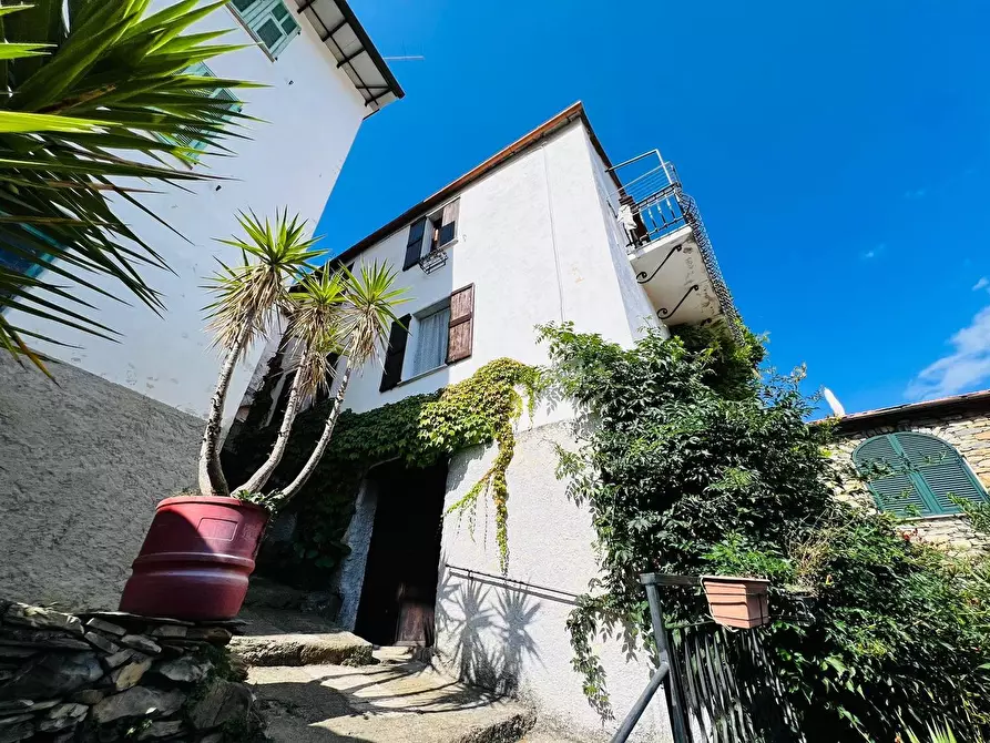 Immagine 23 di Casa indipendente in vendita  in San Giovanni 18020 a Aquila D'arroscia