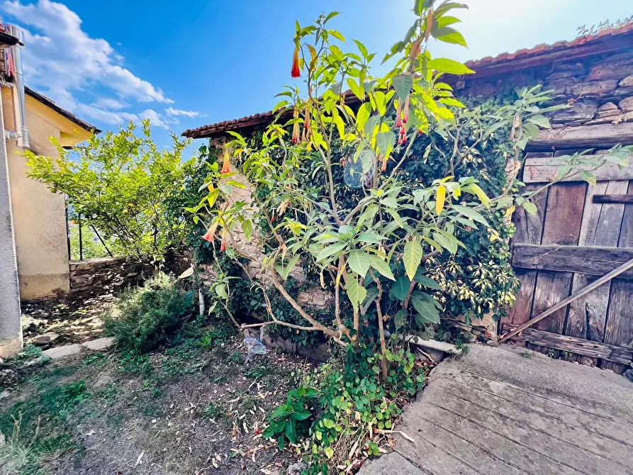 Immagine 27 di Casa indipendente in vendita  in San Giovanni 18020 a Aquila D'arroscia