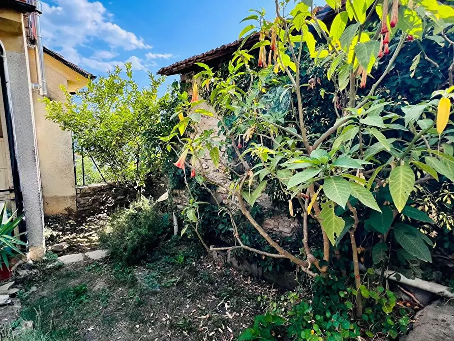 Immagine 30 di Casa indipendente in vendita  in San Giovanni 18020 a Aquila D'arroscia