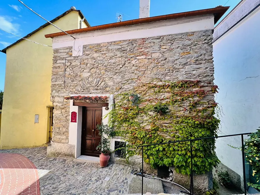 Immagine 32 di Casa indipendente in vendita  in San Giovanni 18020 a Aquila D'arroscia