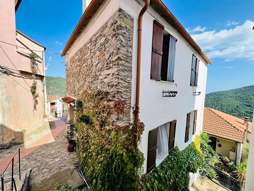 Immagine 34 di Casa indipendente in vendita  in San Giovanni 18020 a Aquila D'arroscia