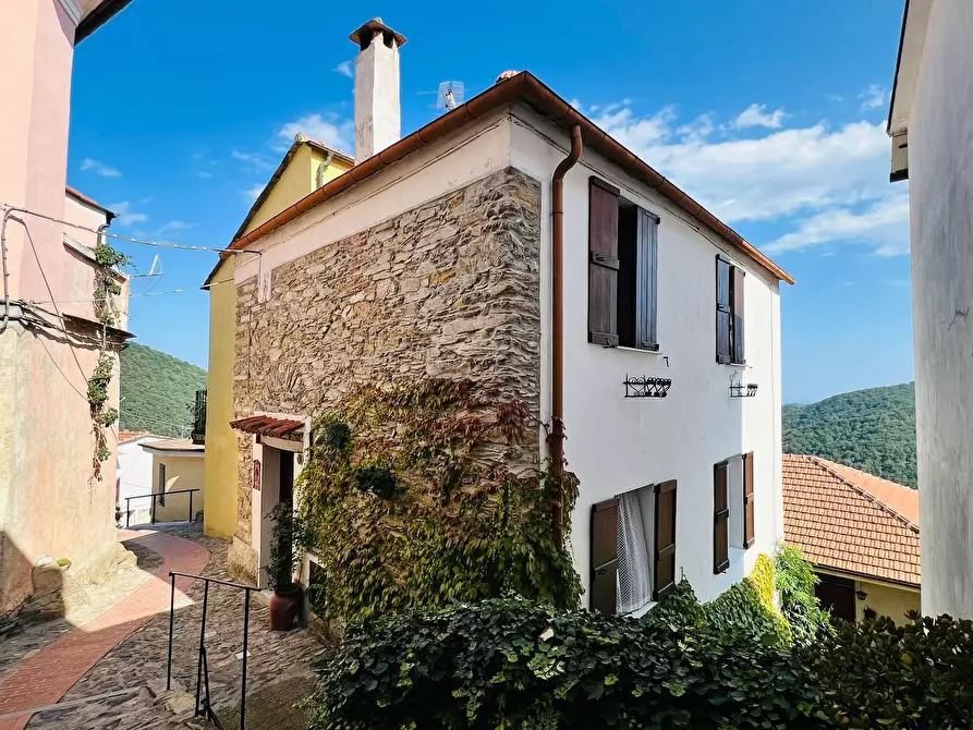 Immagine 37 di Casa indipendente in vendita  in San Giovanni 18020 a Aquila D'arroscia