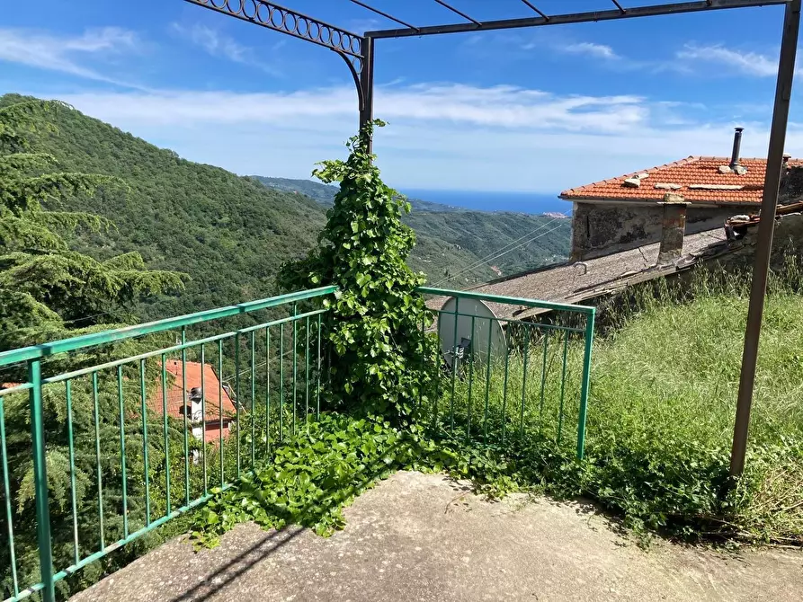 Immagine 20 di Casa indipendente in vendita  in San Giovanni 18020 a Aquila D'arroscia