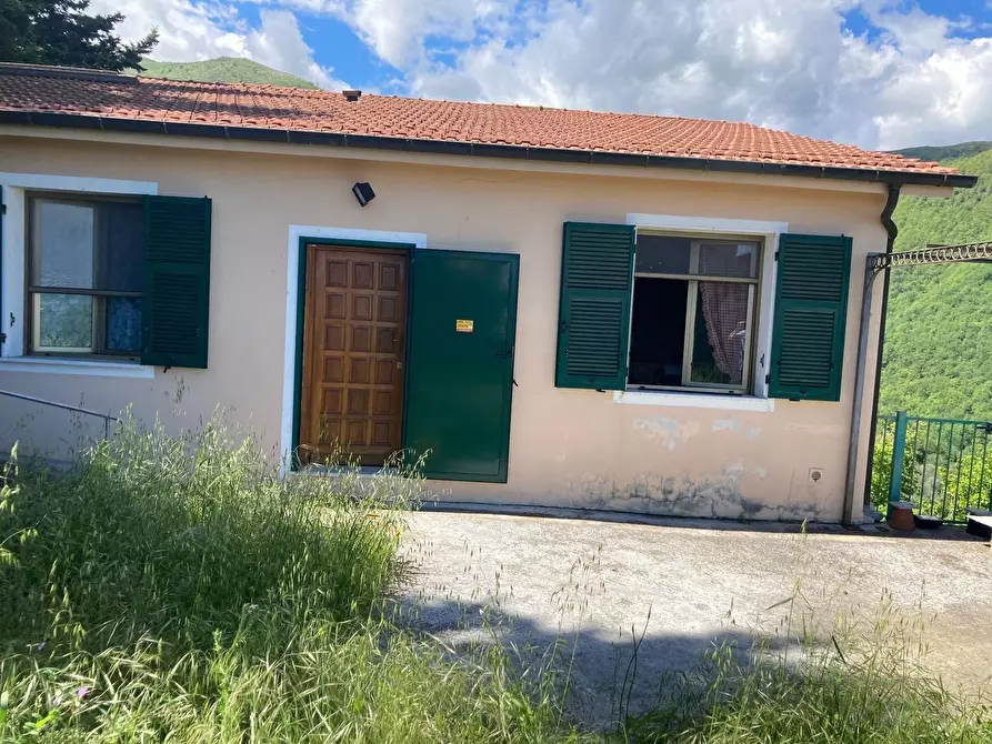 Immagine 29 di Casa indipendente in vendita  in San Giovanni 18020 a Aquila D'arroscia