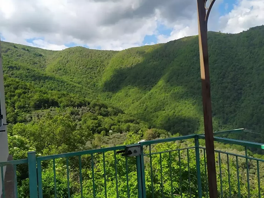 Immagine 30 di Casa indipendente in vendita  in San Giovanni 18020 a Aquila D'arroscia